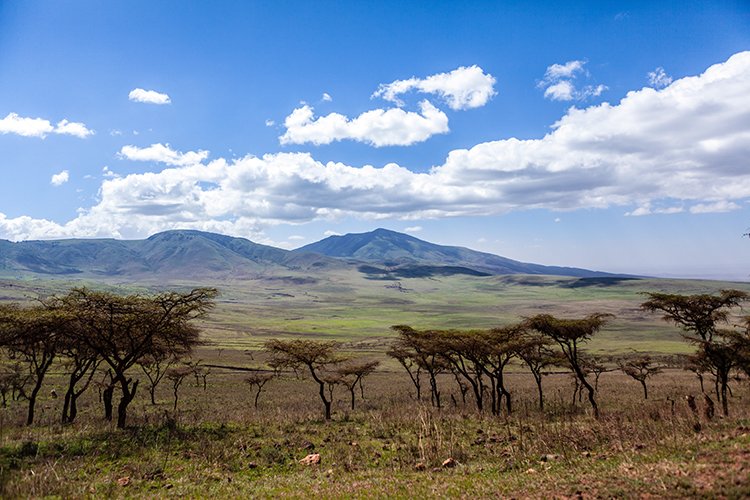 TZA ARU Ngorongoro 2016DEC23 037